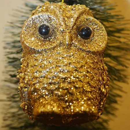 Owl Cozy Spacious In A Quiet Center Between Deribasovskaya And Privoz